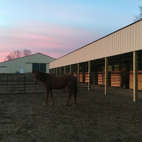Autumn Ridge Acres
