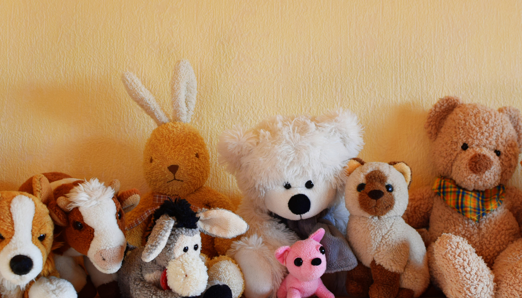 Night at the Museum The Worlds Oldest Hams Birthday Sleepover