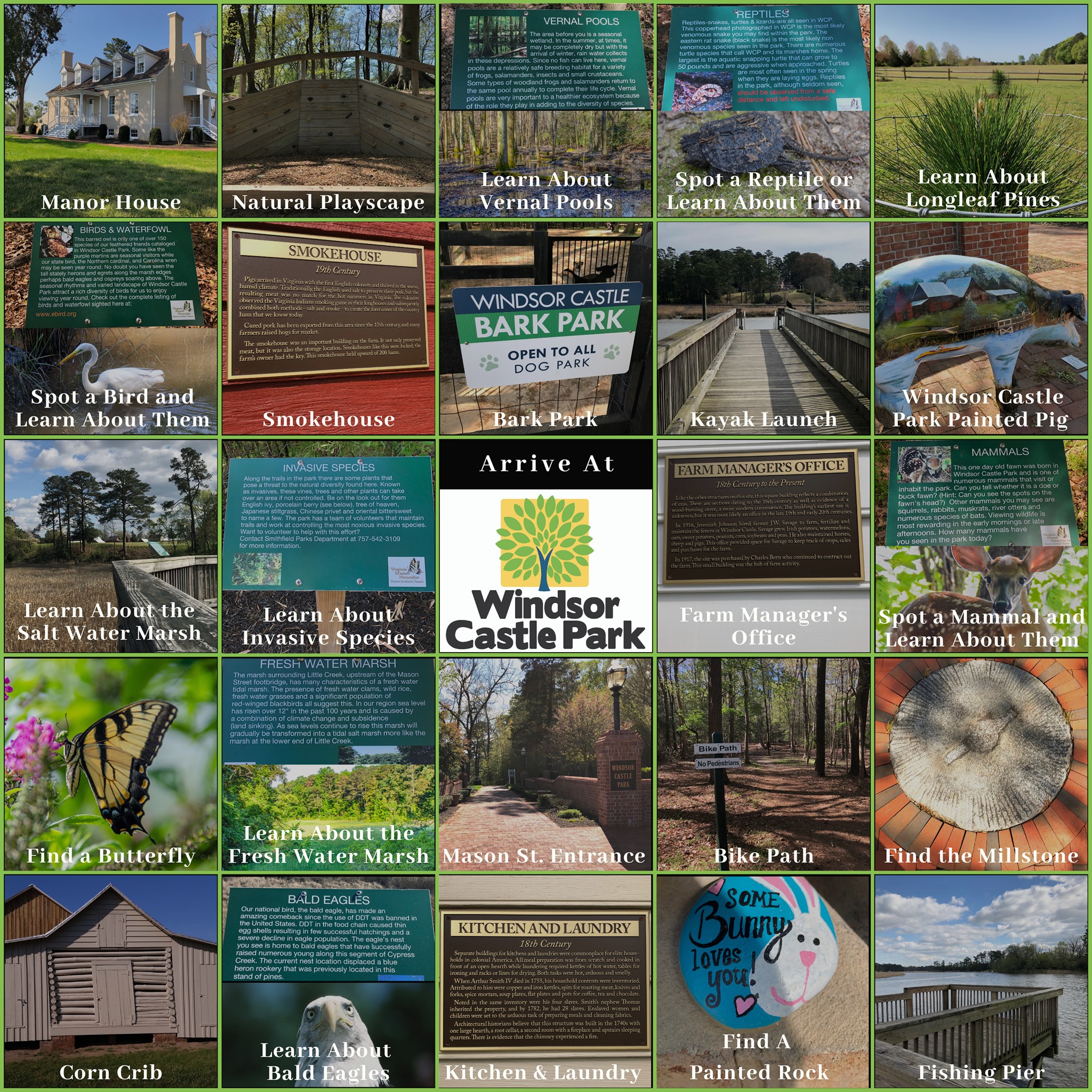 Windsor Castle Park BINGO