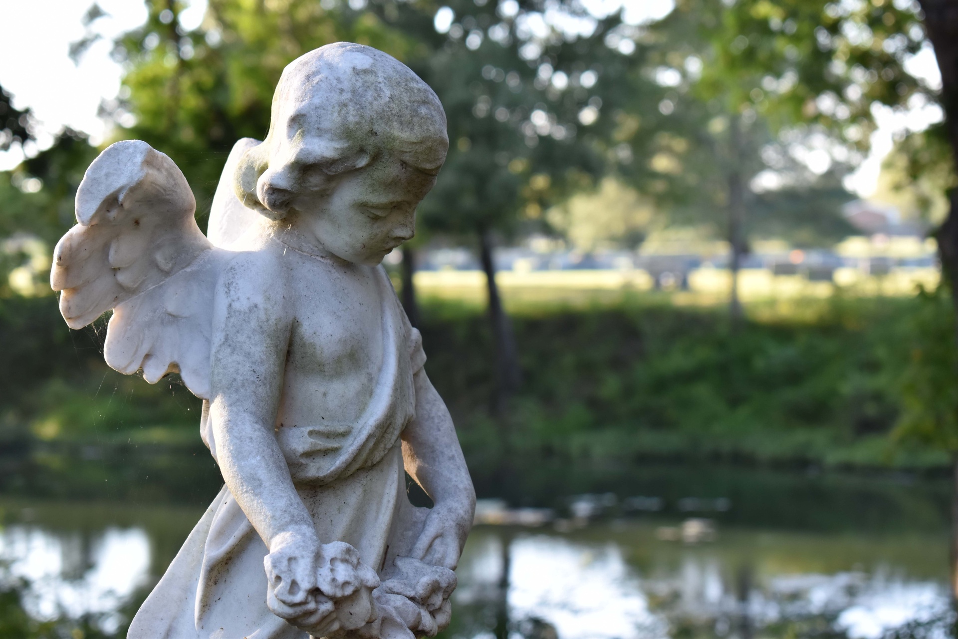 FamilyFriendly Twilight Cemetery Tour