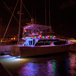 Boat decorated with Christmas lights