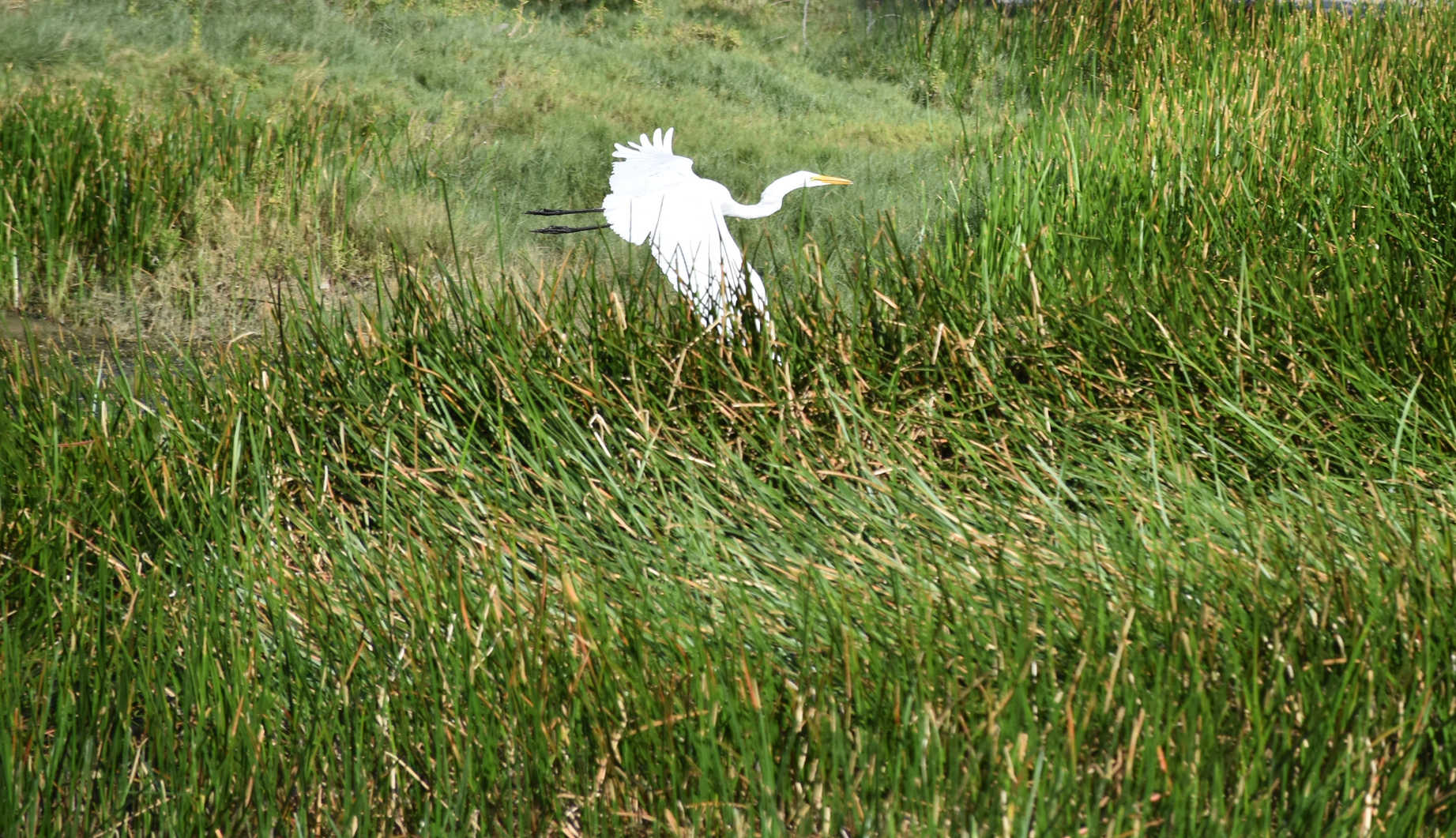Family Field Trip  Plants and Animals