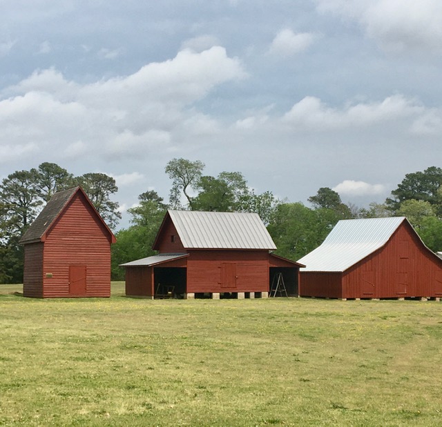 Get Outside 8 Hour Run