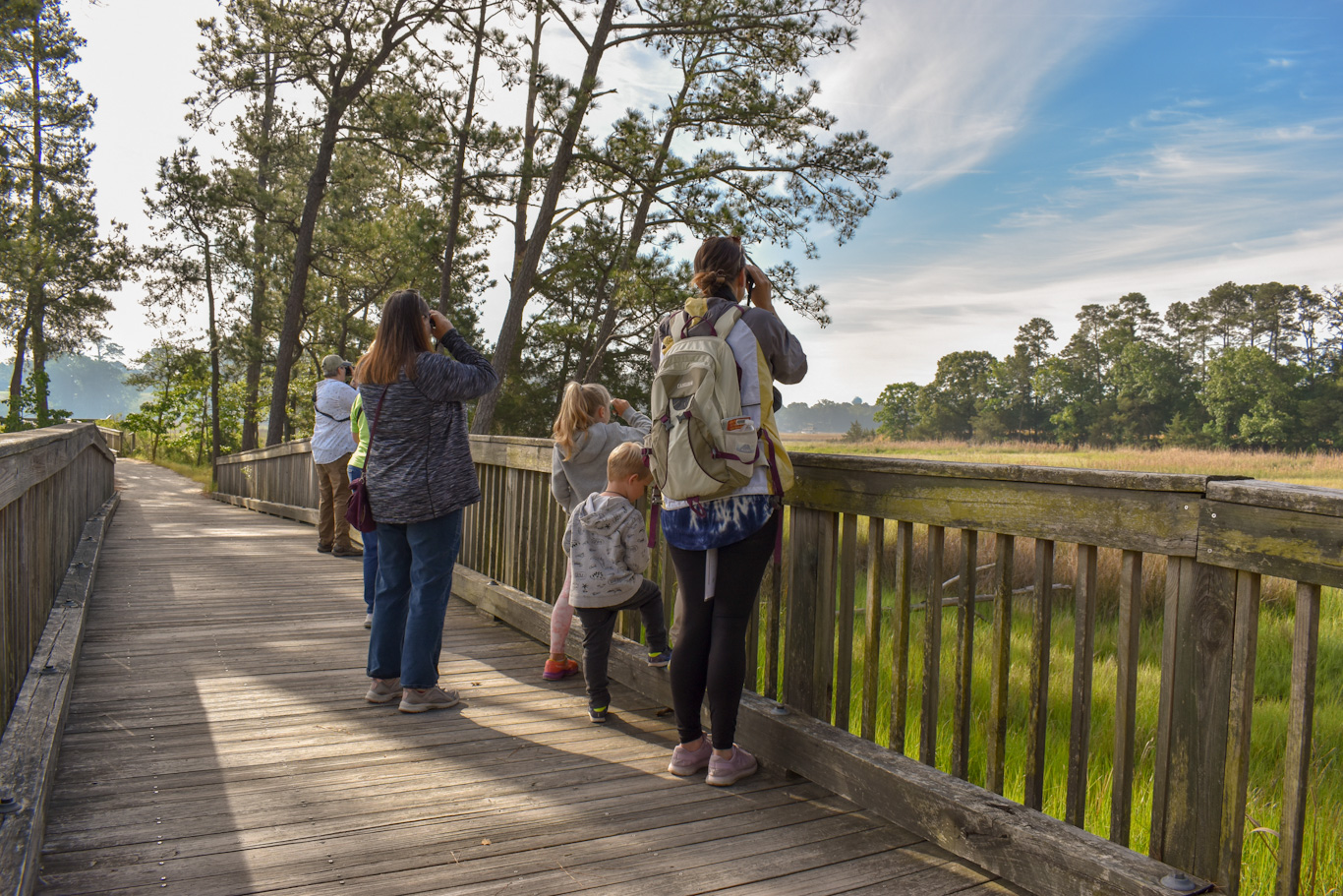 Bird Walks at Windsor Castle Park