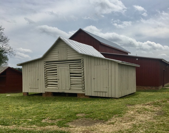 Guided Walking Tour of Windsor Castle Park