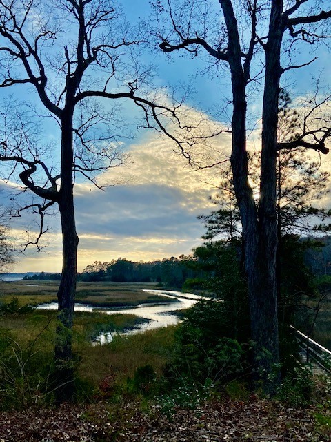 Third Fridays Under the Stars at SummerWind Vineyard