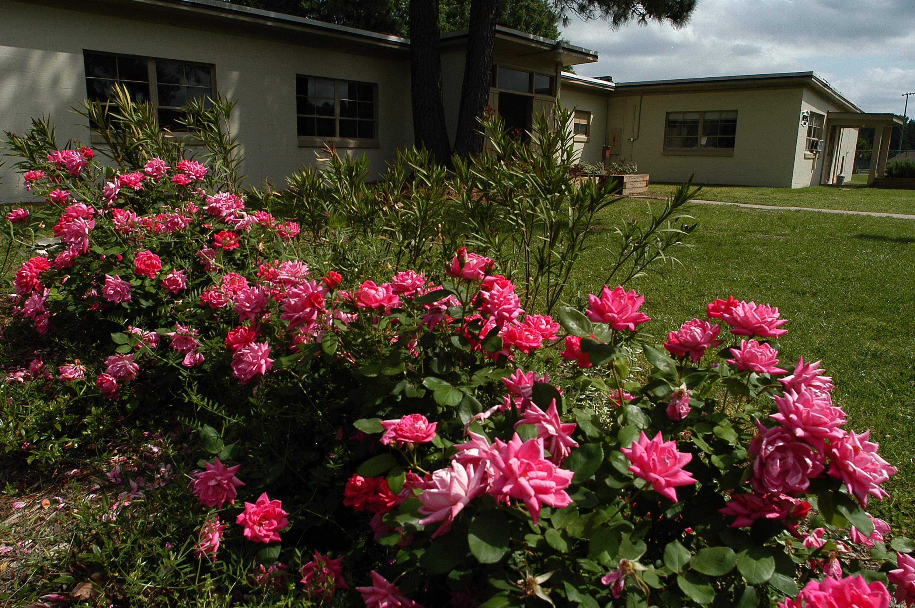 Guided Walking Tour of Nike Park