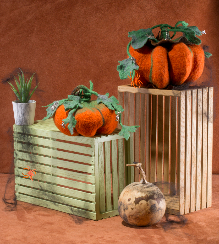 Felting Workshop  Precious Pumpkins