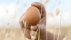 An EggsCellent Way to Celebrate Chicken Month