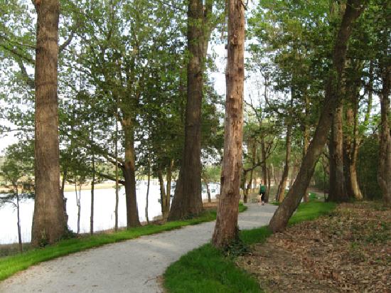 Tree Walks at Windsor Castle Park