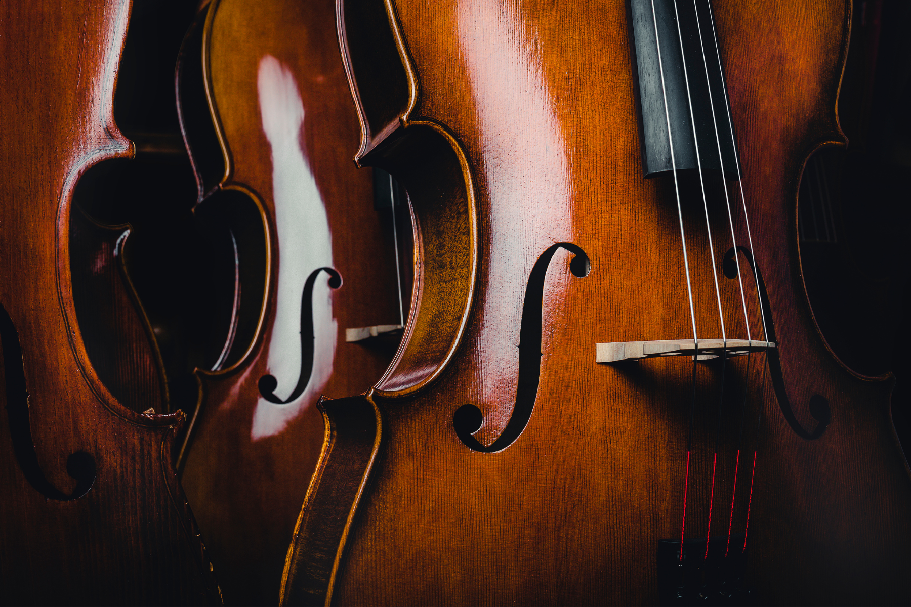 Tidewater Cello Ensemble