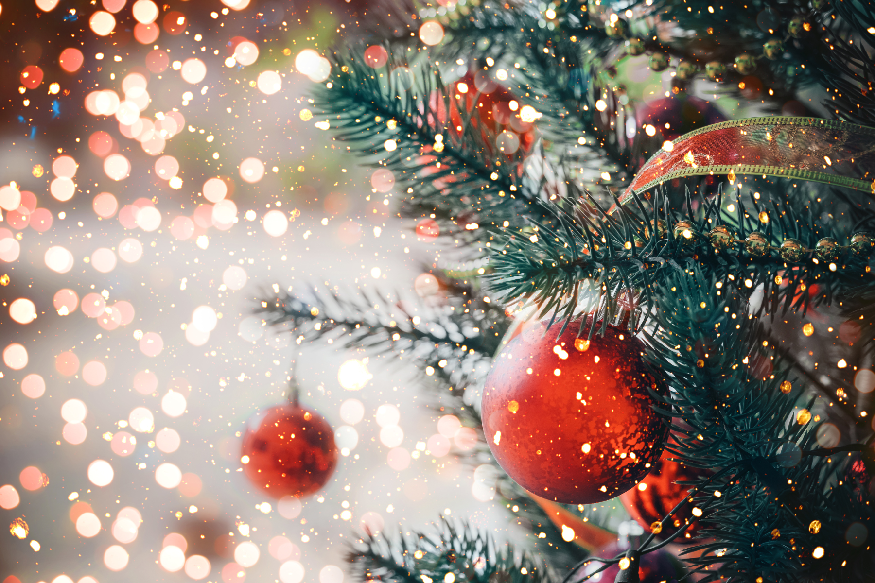 Annual Christmas Tree Lighting