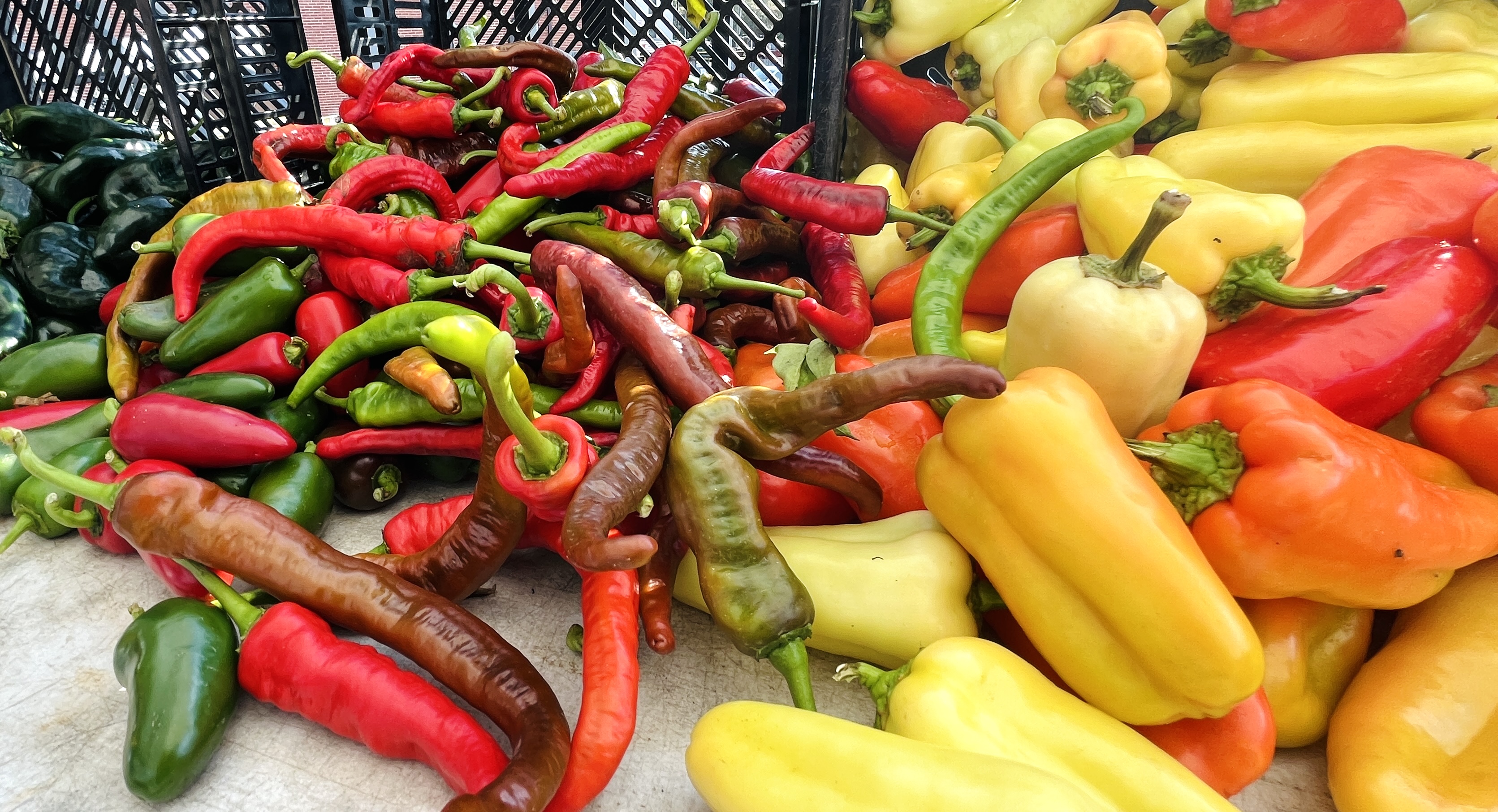 Smithfield Farmers Market