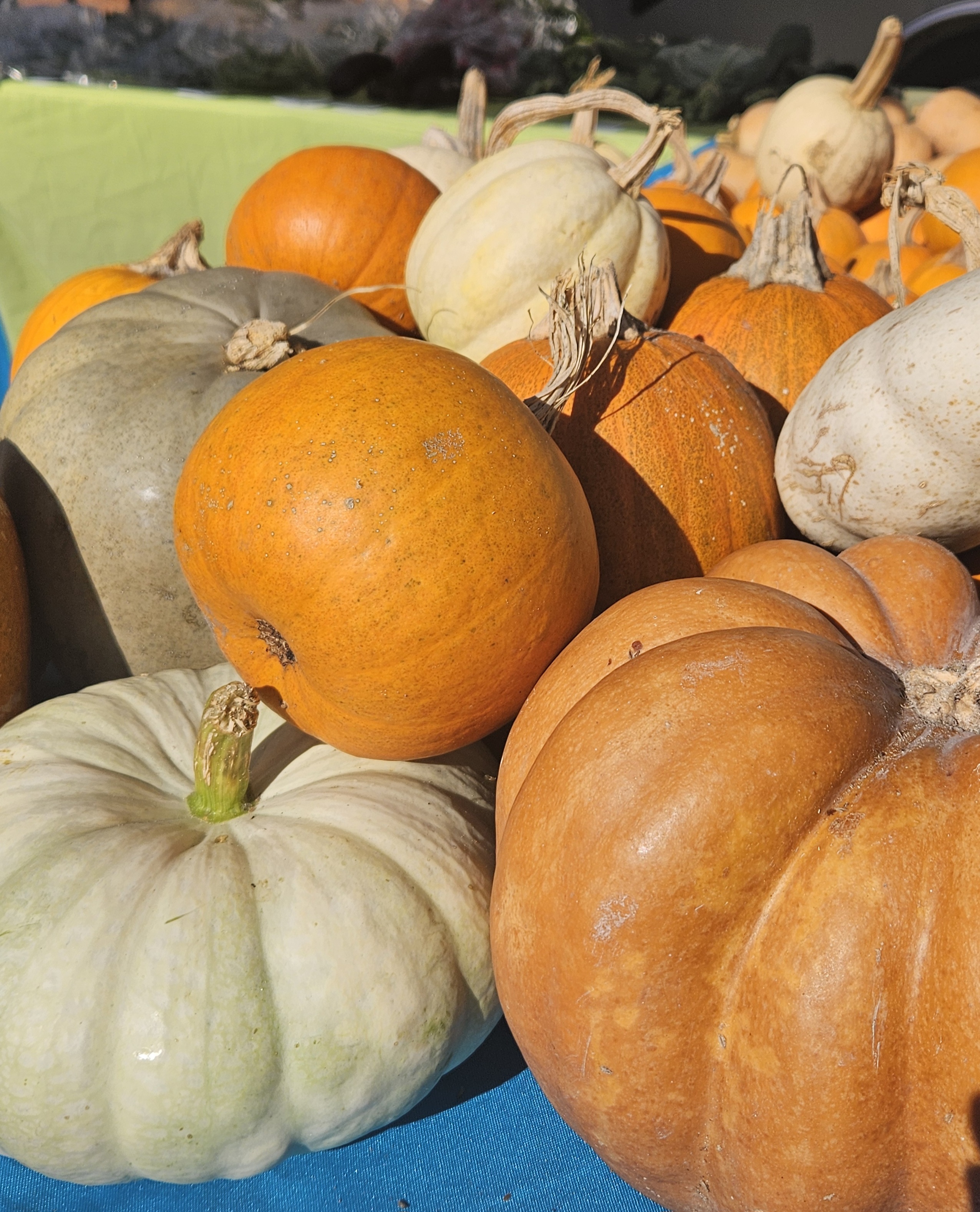 Smithfield Farmers Market