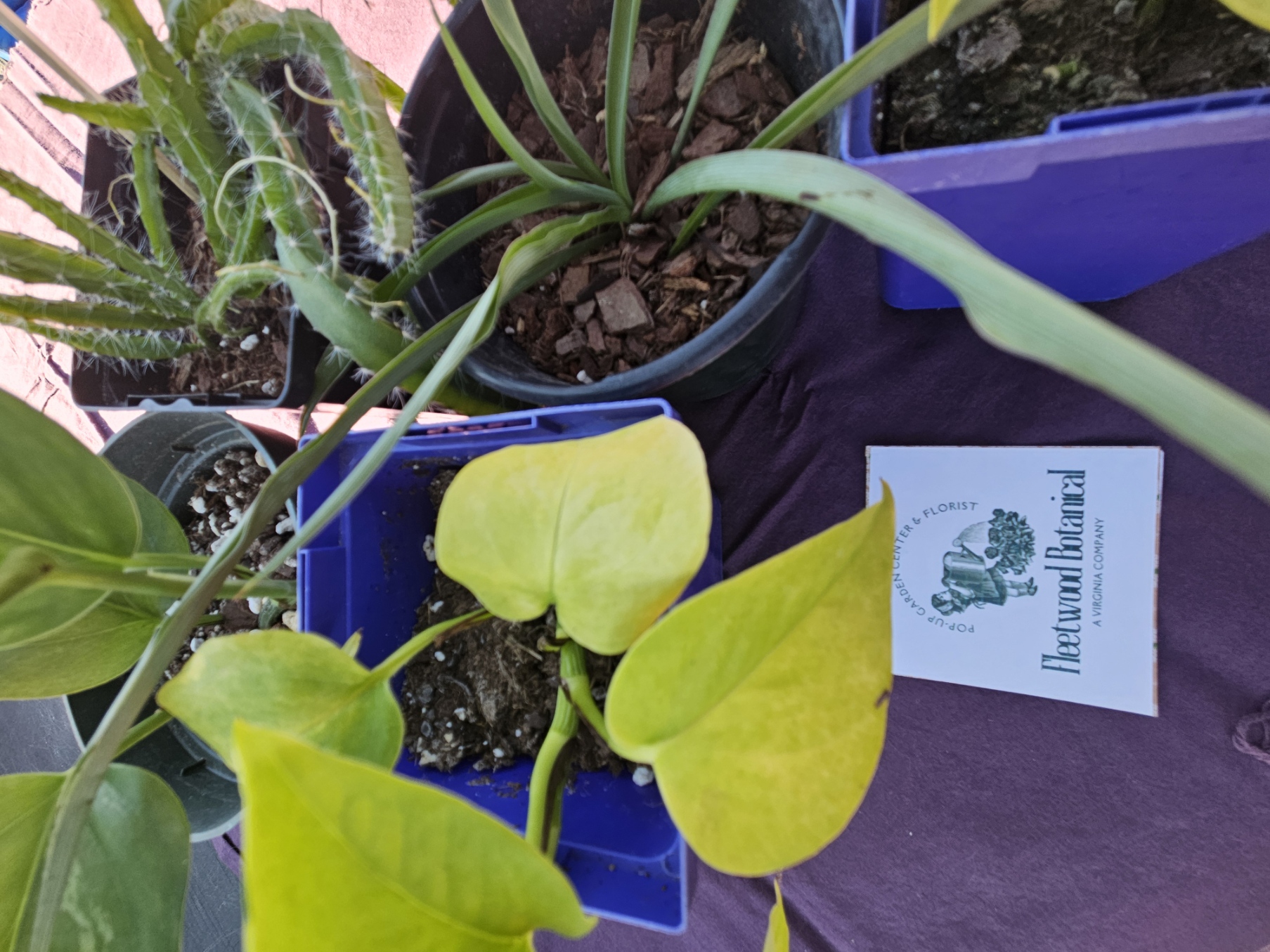 Indoor Winter Farmers Markets