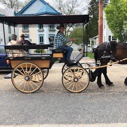 Carriage Rides through downtown Smithfield