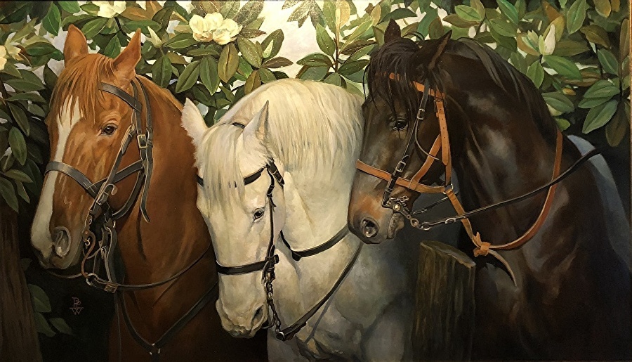 Imagine Art Gallery presents A Day with the Artists