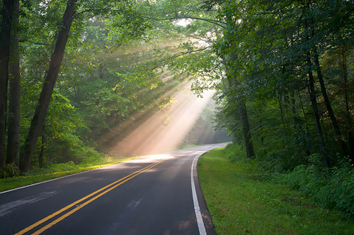 Country road with sun rays through the trees
