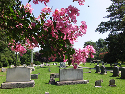 Ivy Hill Cemetery