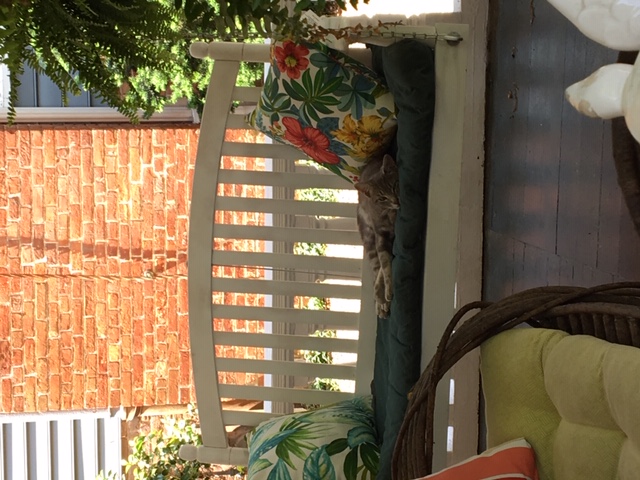 Color Scapes Fine Arts Gallery