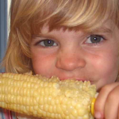 Little girl eating an ear of corn
