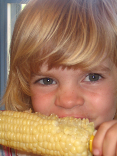 Little girl eating an ear of corn
