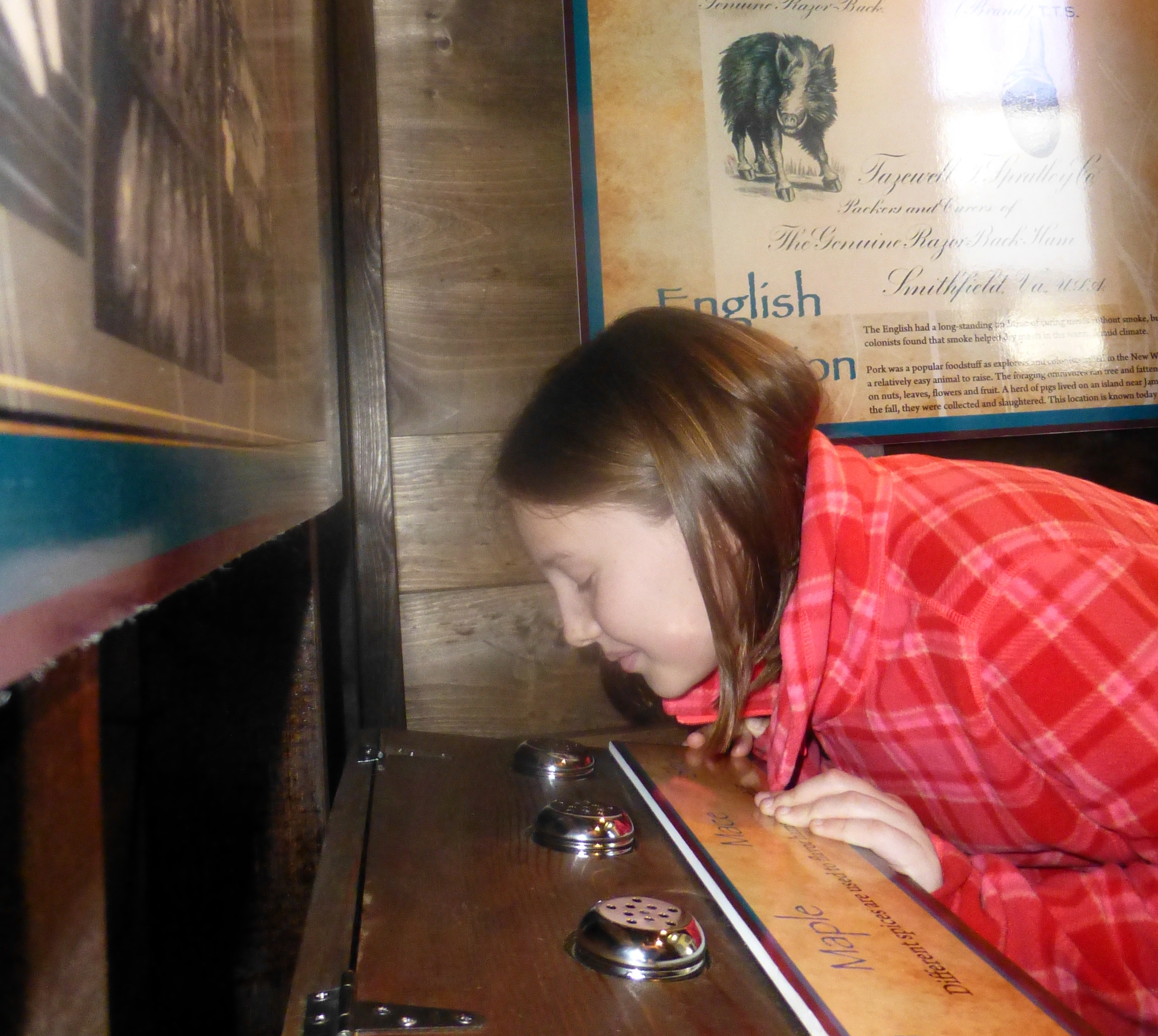 Smokehouse at the Isle of Wight County Musem
