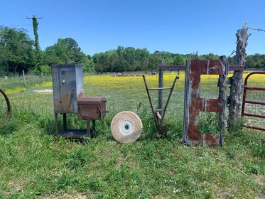 Mill Swamp Indian Horses