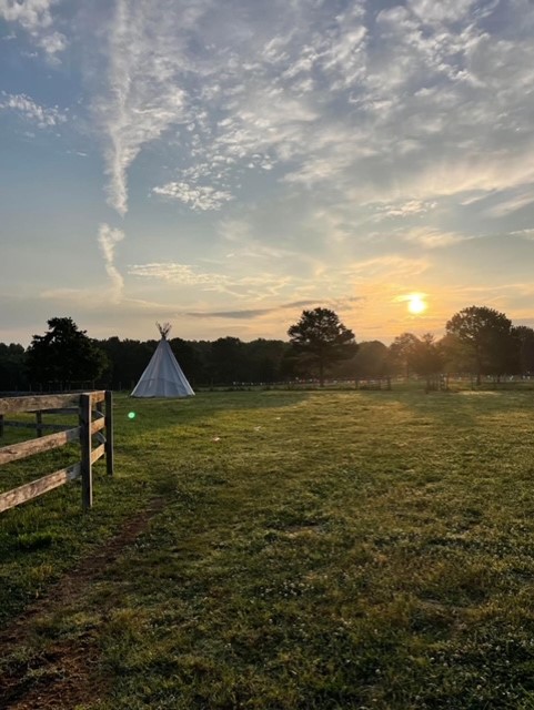 Mill Swamp Indian Horses
