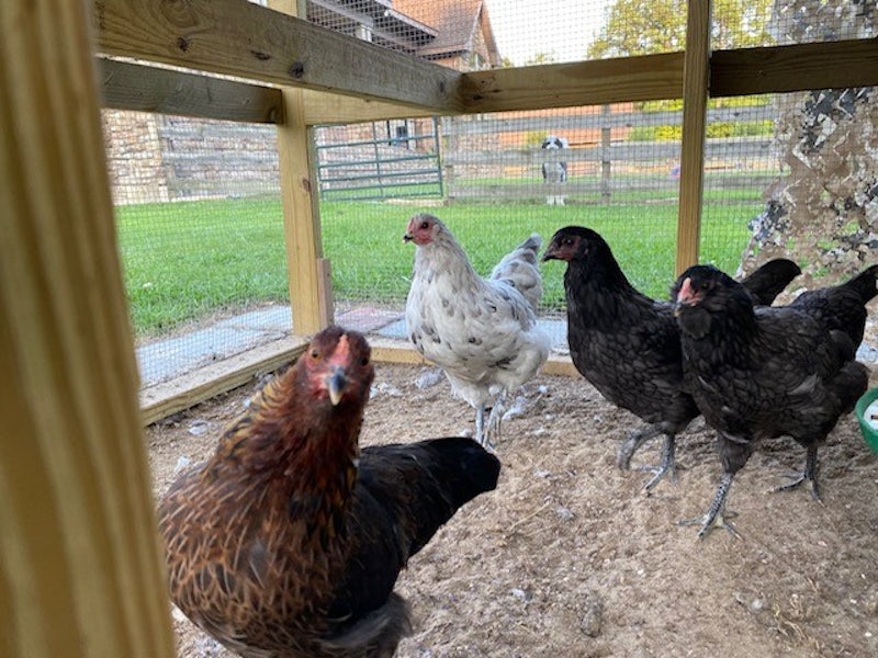 Peaceful Cottage Retreat at Timberline Ranch