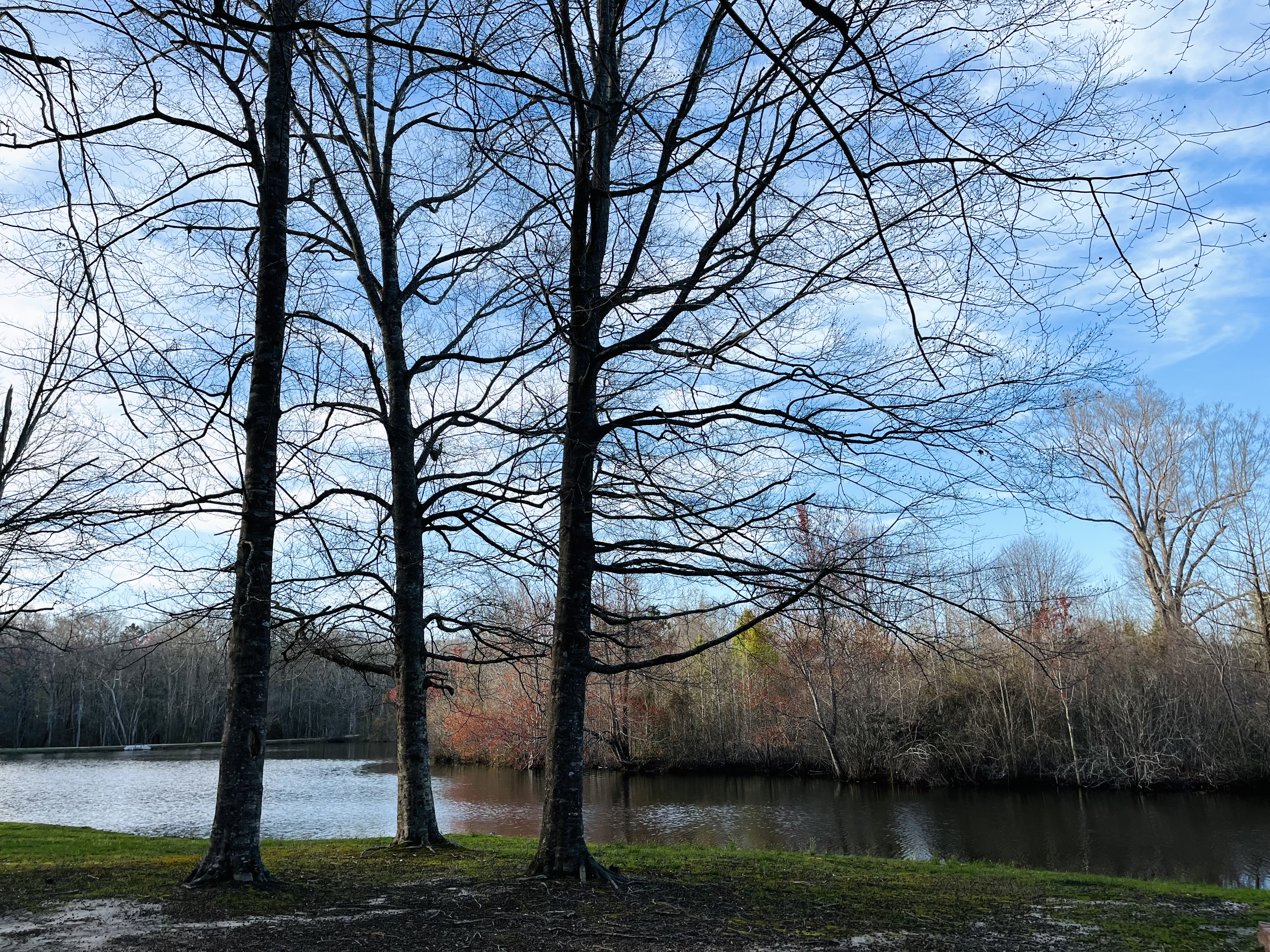 Isle of Wight Family Campground