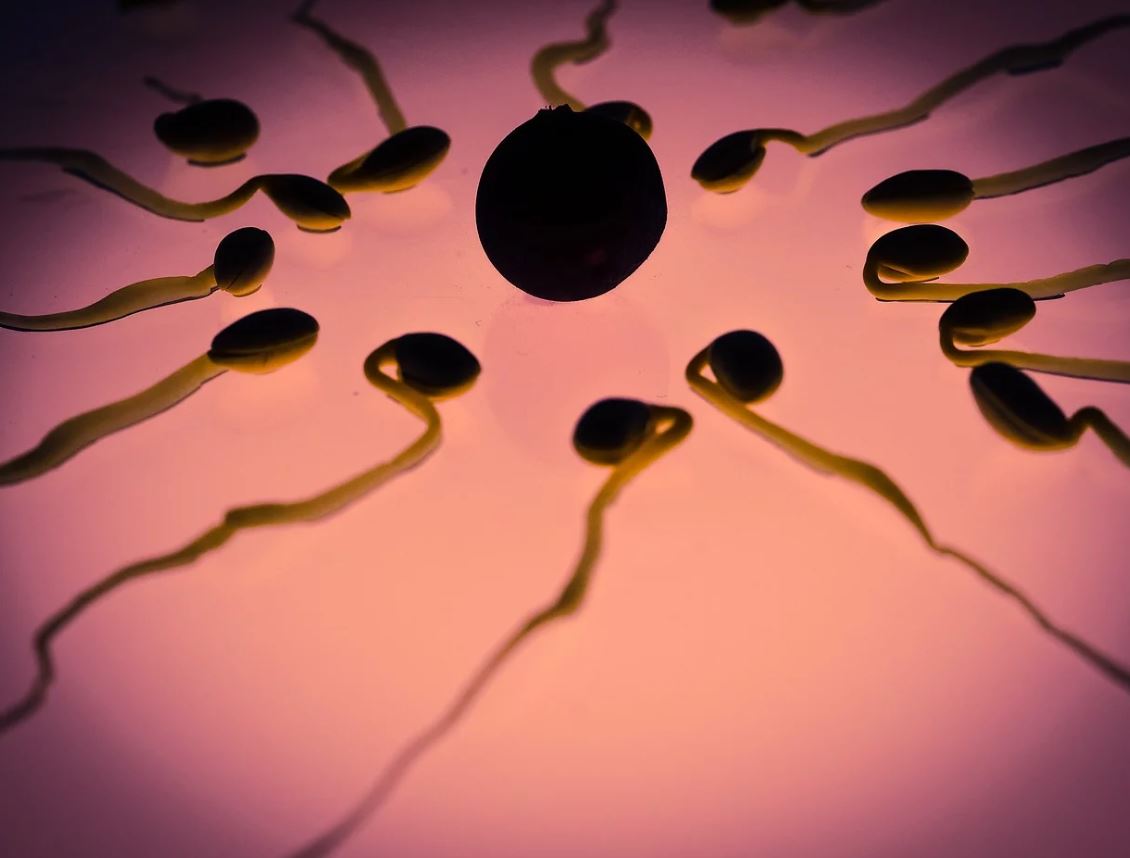 Getting pregnant with a low sperm count - it is possible!