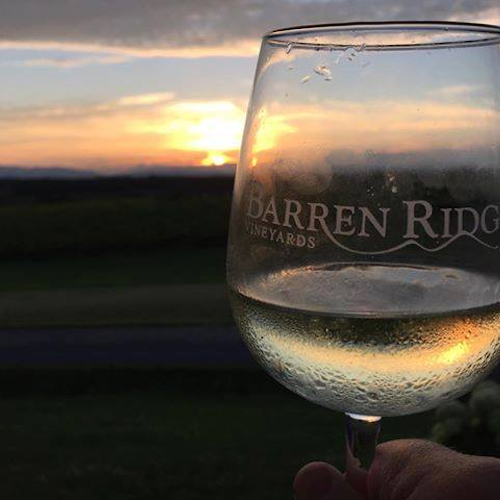 Barren Ridge Vineyards