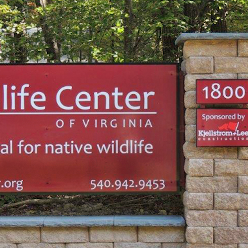 Wildlife Center of Virginia